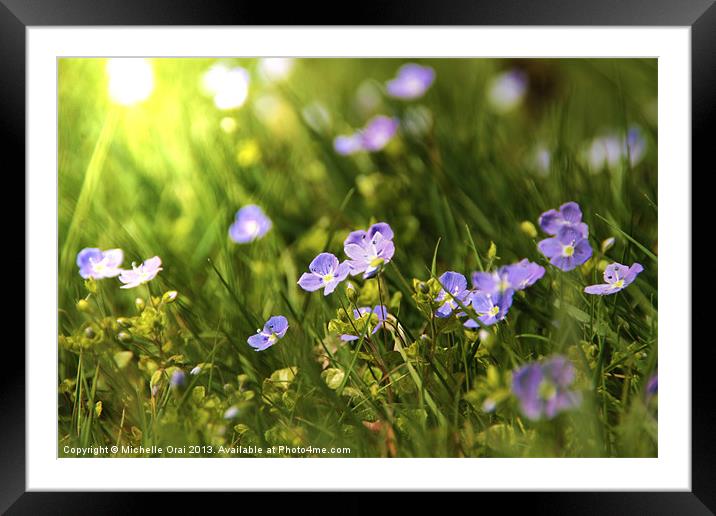 Flowers of the Forest Framed Mounted Print by Michelle Orai
