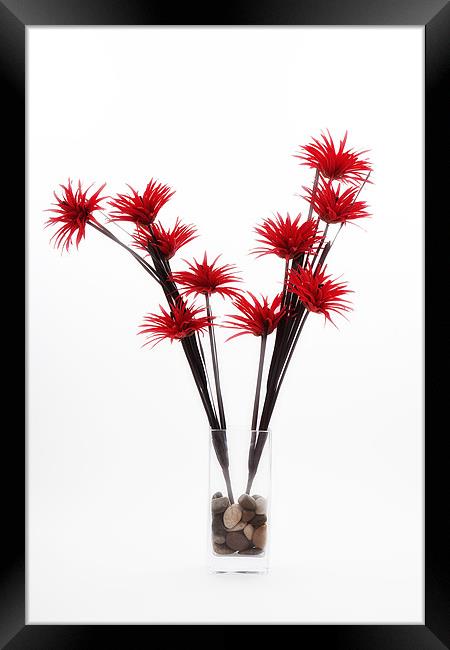 Red Flowers Framed Print by Paul Rayment