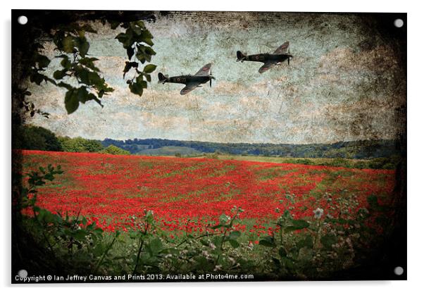 Over The Poppy Field Acrylic by Ian Jeffrey