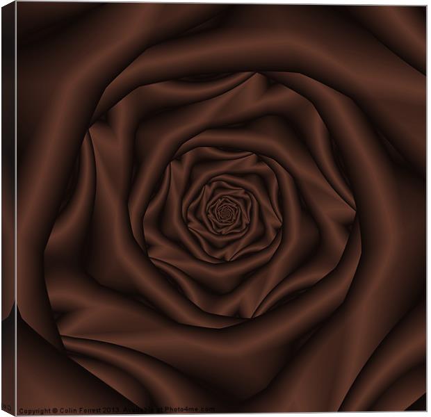 Chocolate Rose Spiral Canvas Print by Colin Forrest