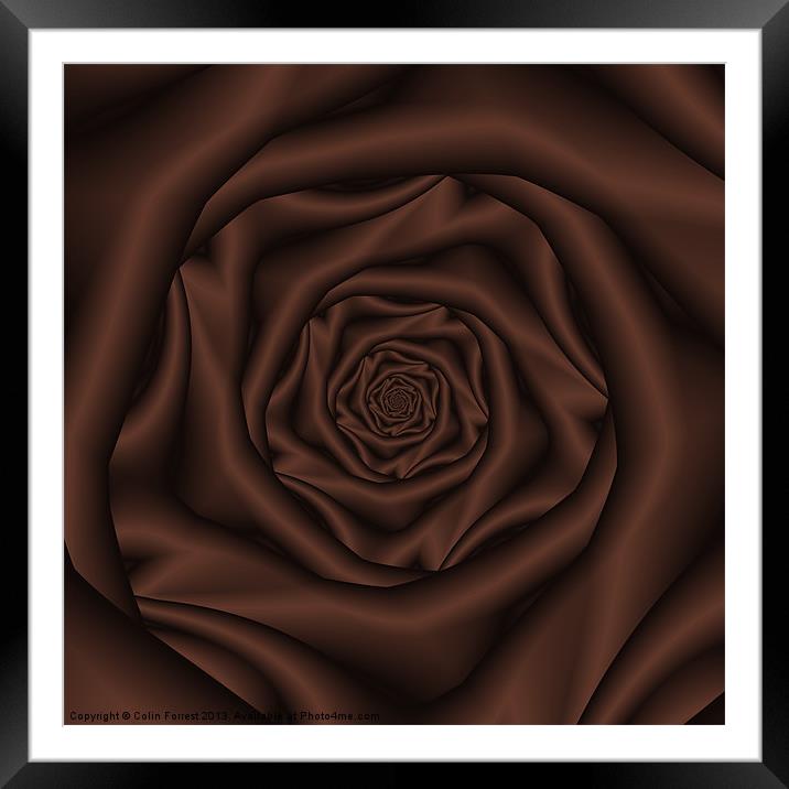 Chocolate Rose Spiral Framed Mounted Print by Colin Forrest