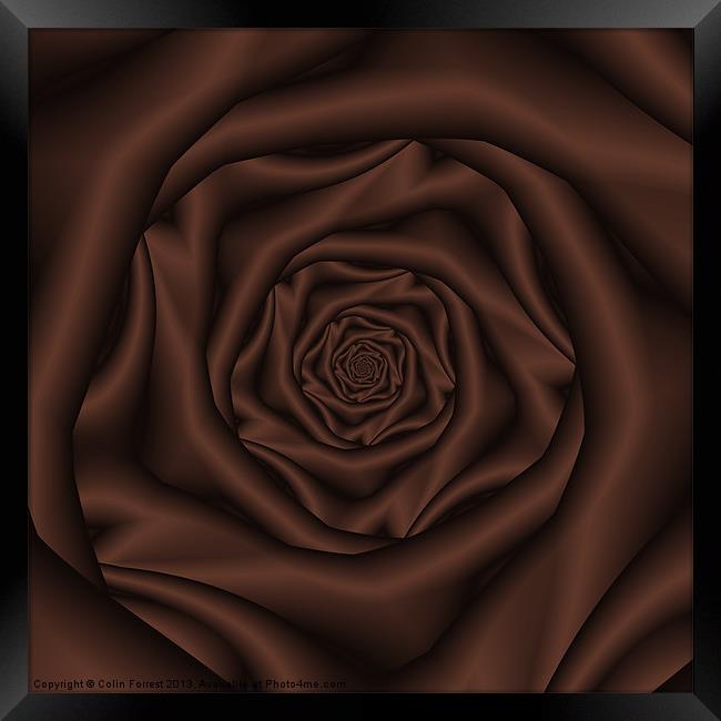 Chocolate Rose Spiral Framed Print by Colin Forrest