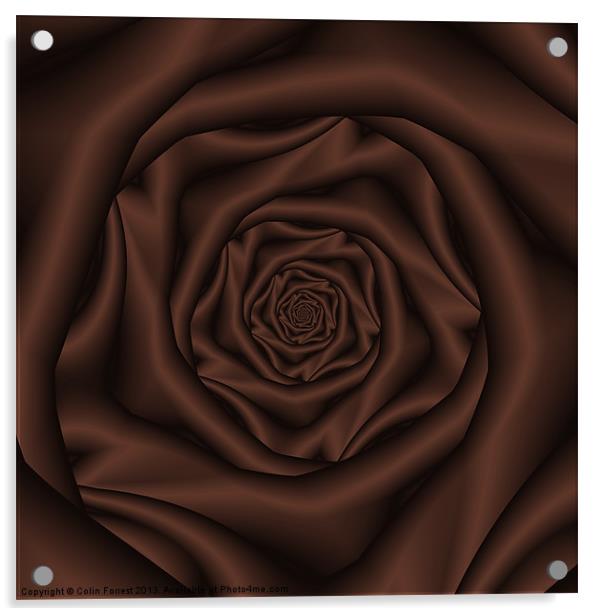 Chocolate Rose Spiral Acrylic by Colin Forrest