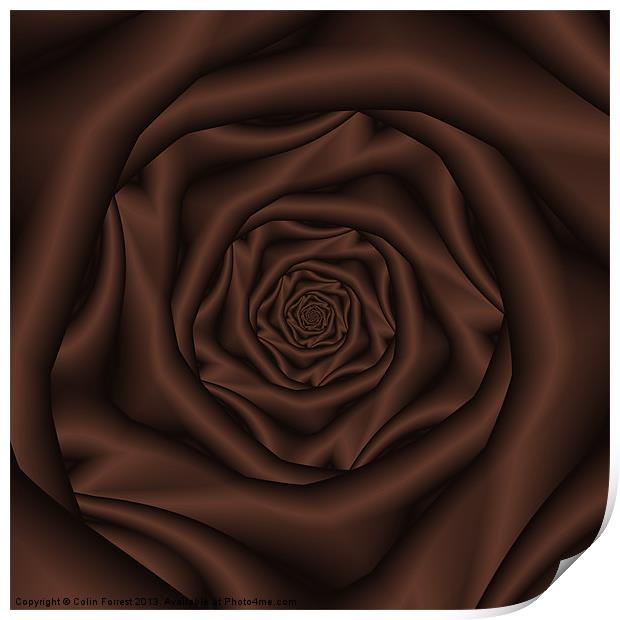 Chocolate Rose Spiral Print by Colin Forrest