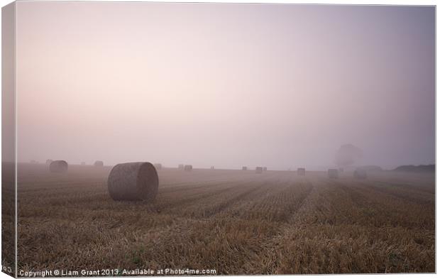 Sunrise + Fog, Pickenham, Norfolk, UK Canvas Print by Liam Grant