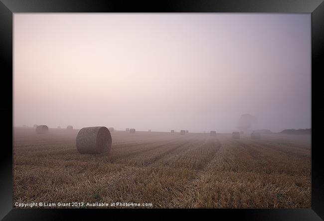 Sunrise + Fog, Pickenham, Norfolk, UK Framed Print by Liam Grant