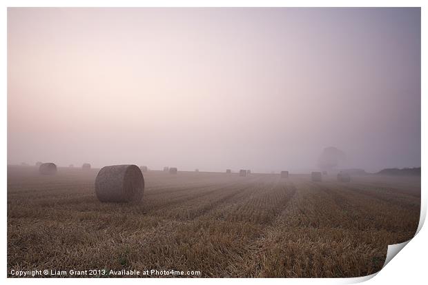 Sunrise + Fog, Pickenham, Norfolk, UK Print by Liam Grant