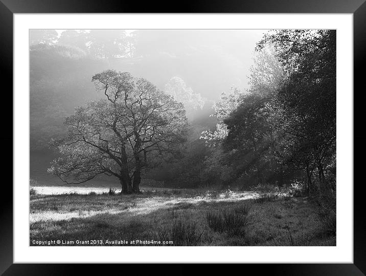 Sunrise and mist, Langdale Valley, Lake District Framed Mounted Print by Liam Grant
