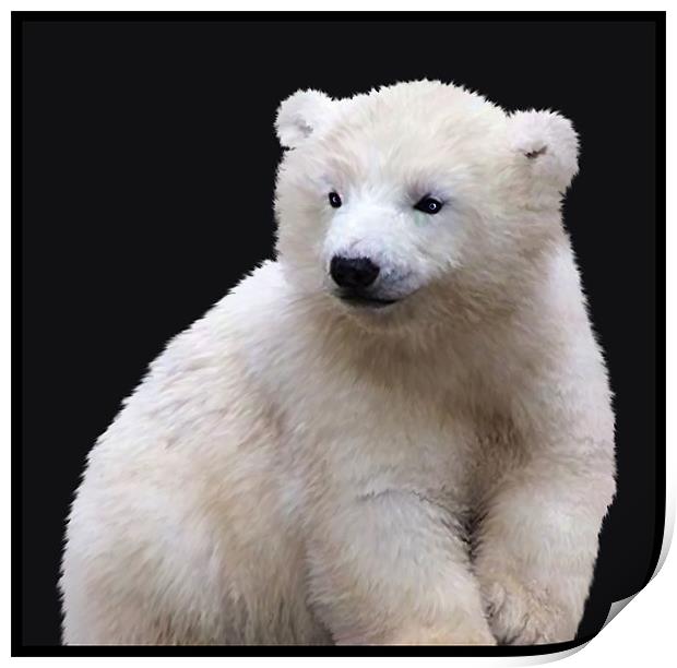 Polar Bear Cub Print by Debra Kelday