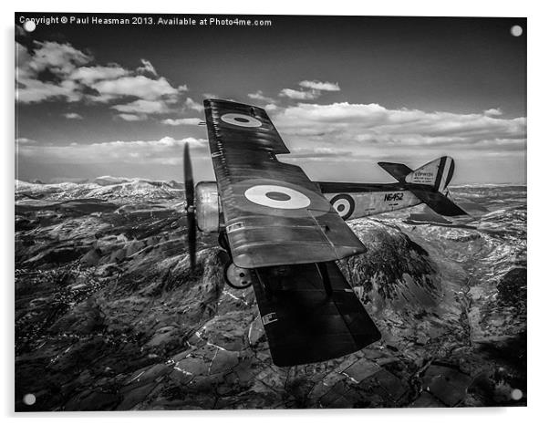 Sopwith Pup Black and white Acrylic by P H