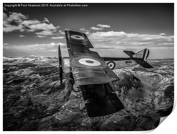 Sopwith Pup Black and white Print by P H