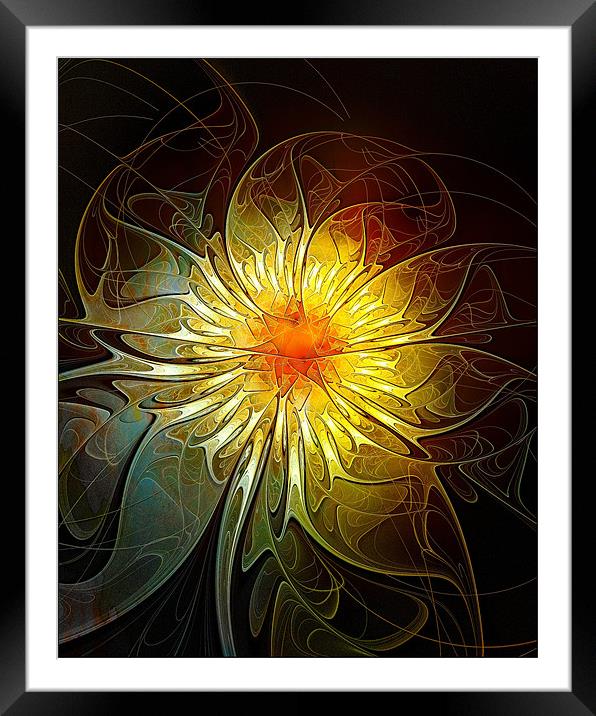 New Life Framed Mounted Print by Amanda Moore
