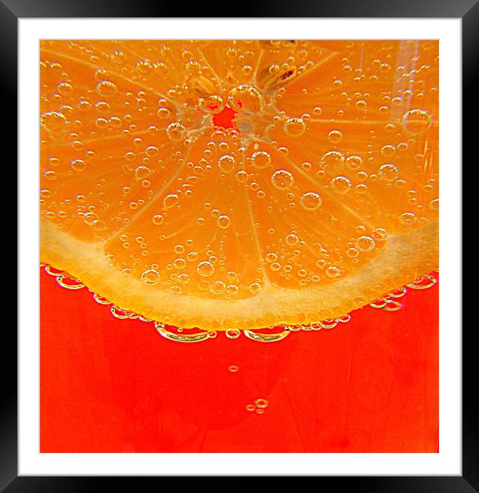 Fizzy Framed Mounted Print by Dave Watson