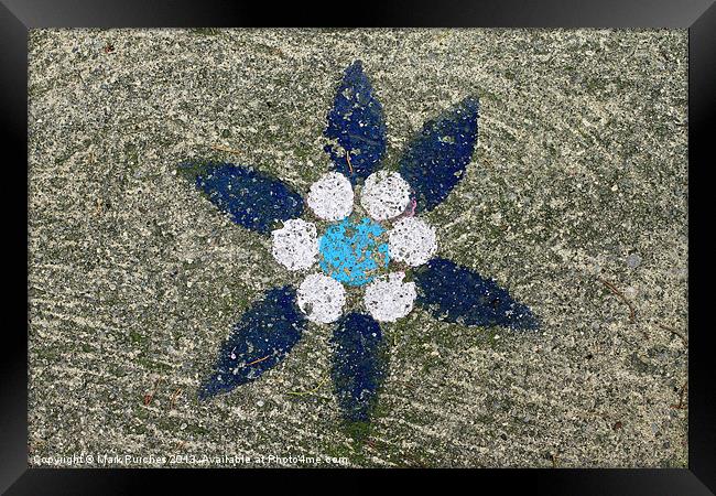 Blue Painted Flower on Rough Concrete Stone Framed Print by Mark Purches