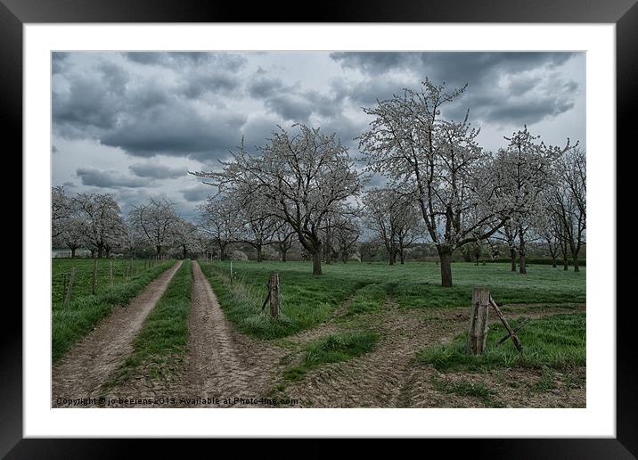 blossoming trees Framed Mounted Print by Jo Beerens