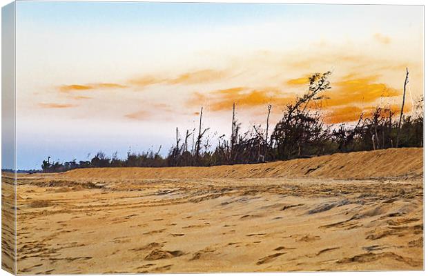 Pondicherry Manaputta Beach Sunset Canvas Print by Arfabita  