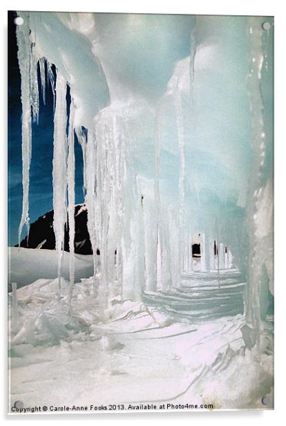 Ice Cave Cape Hallett Antarctica Acrylic by Carole-Anne Fooks