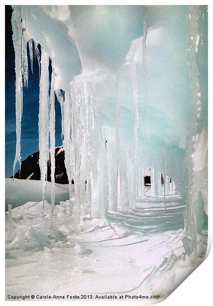 Ice Cave Cape Hallett Antarctica Print by Carole-Anne Fooks