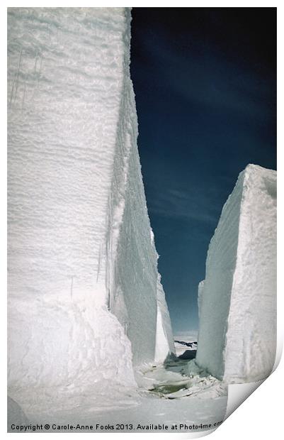 Tabular Icebergs Antarctica Print by Carole-Anne Fooks