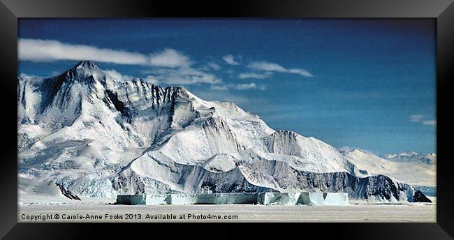 Cape Hallett Antarctica Framed Print by Carole-Anne Fooks