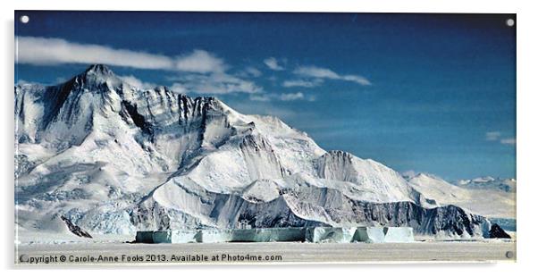 Cape Hallett Antarctica Acrylic by Carole-Anne Fooks