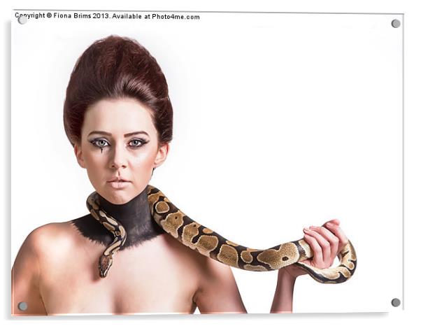 Snake Charmer Acrylic by Fiona Brims