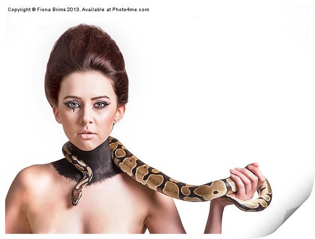 Snake Charmer Print by Fiona Brims