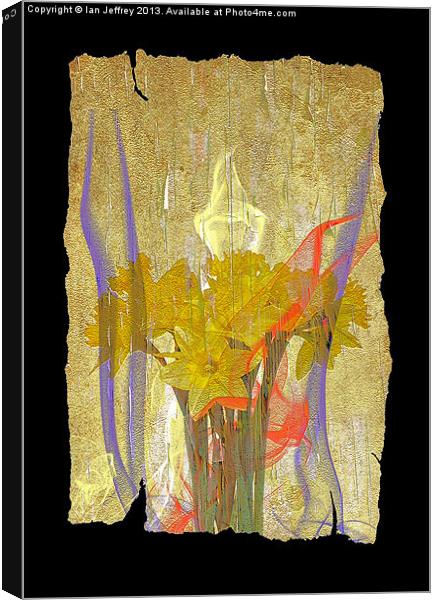 Daffodil Art Canvas Print by Ian Jeffrey