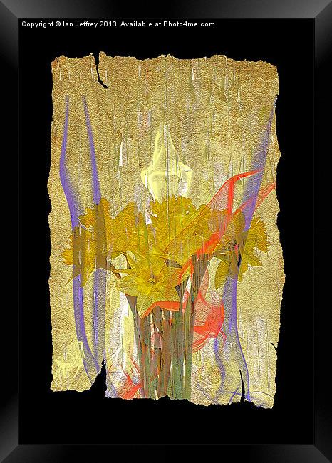 Daffodil Art Framed Print by Ian Jeffrey
