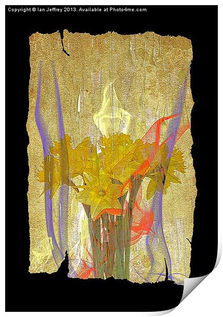 Daffodil Art Print by Ian Jeffrey