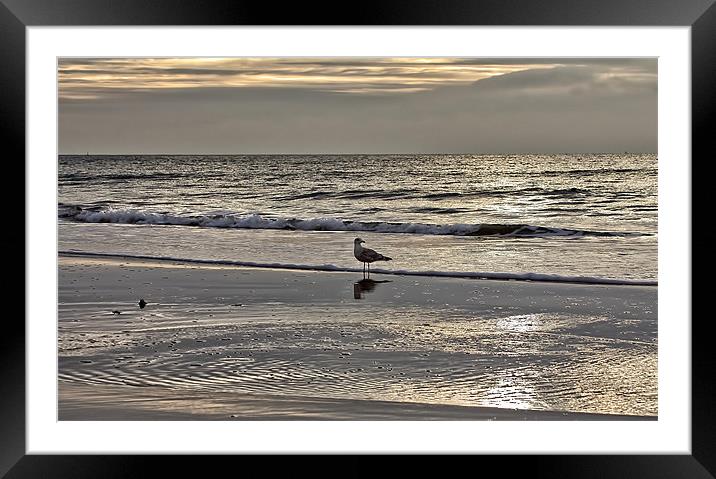 Solitude Framed Mounted Print by Jennie Franklin