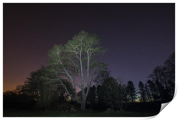 Night Landscape Print by Sam Smith