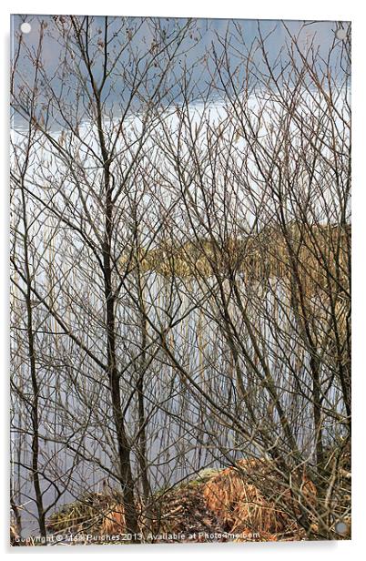 Beautiful Lake District View Through Bare Branches Acrylic by Mark Purches