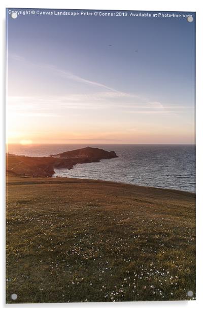 Cornish Coastal Walk Acrylic by Canvas Landscape Peter O'Connor