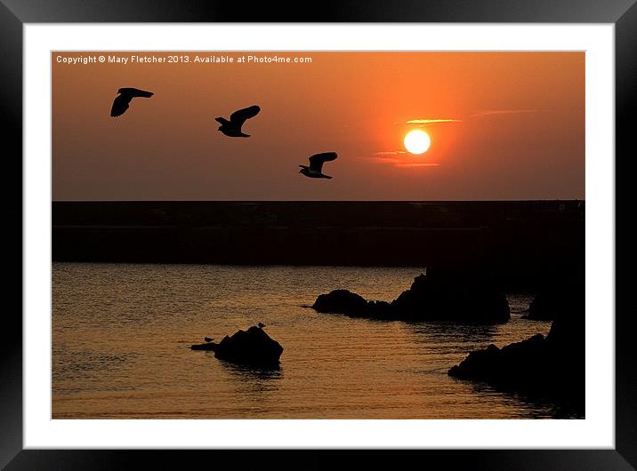 Sunrise over Mevagissey Harbour Framed Mounted Print by Mary Fletcher