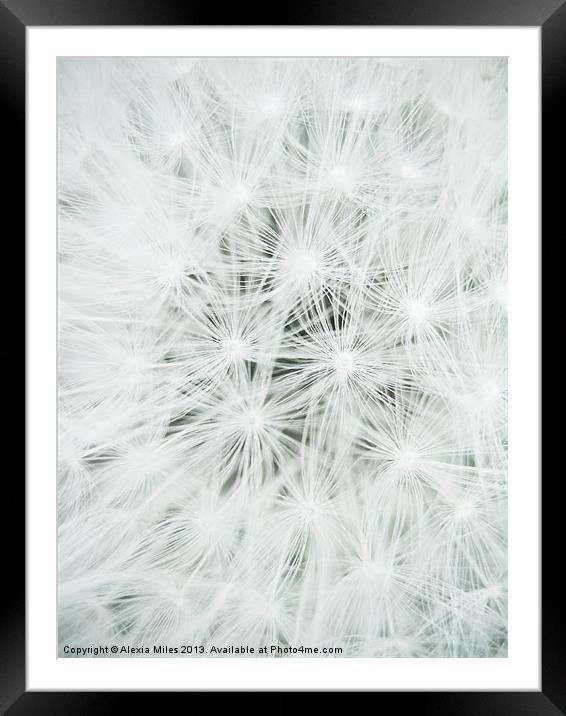 A puff Framed Mounted Print by Alexia Miles