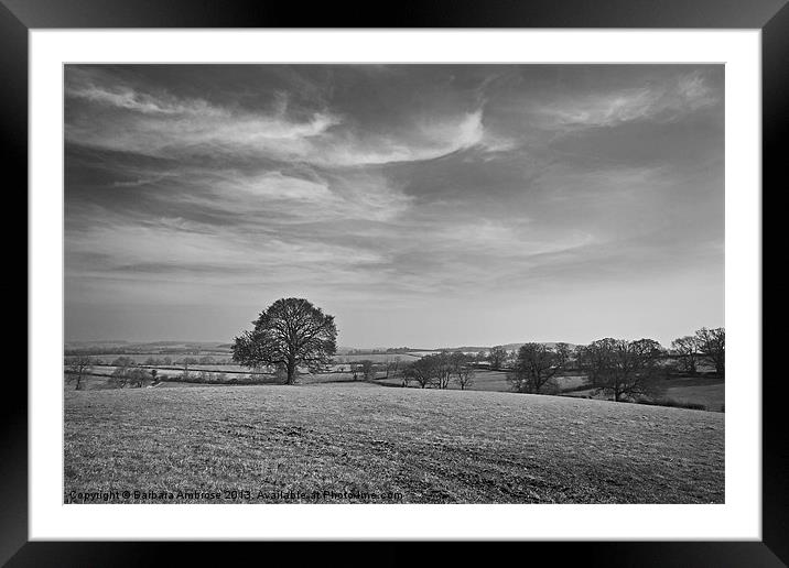 View across the fields Framed Mounted Print by Barbara Ambrose