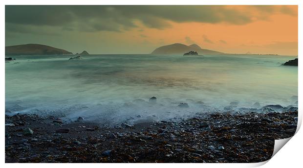 Blasket Islands Print by barbara walsh