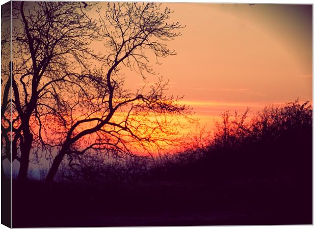 Winter Sunset Canvas Print by Grove Road Photography