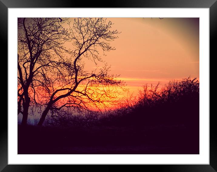 Winter Sunset Framed Mounted Print by Grove Road Photography