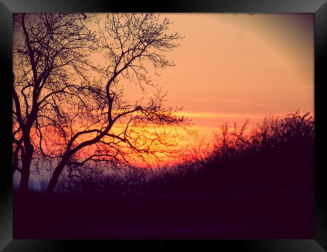 Winter Sunset Framed Print by Grove Road Photography