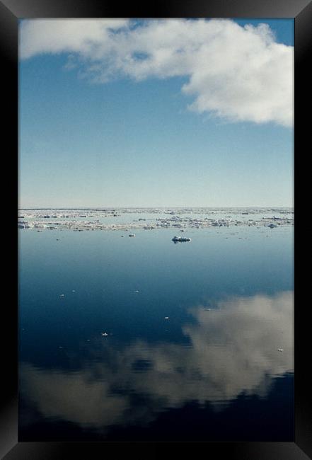 Ross Sea Antarctica Framed Print by Carole-Anne Fooks
