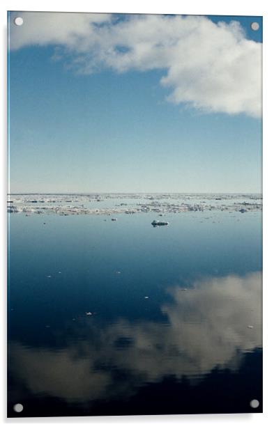 Ross Sea Antarctica Acrylic by Carole-Anne Fooks