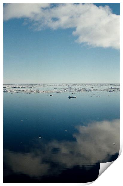 Ross Sea Antarctica Print by Carole-Anne Fooks