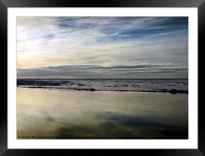 Ross Sea Antarctica Framed Mounted Print by Carole-Anne Fooks
