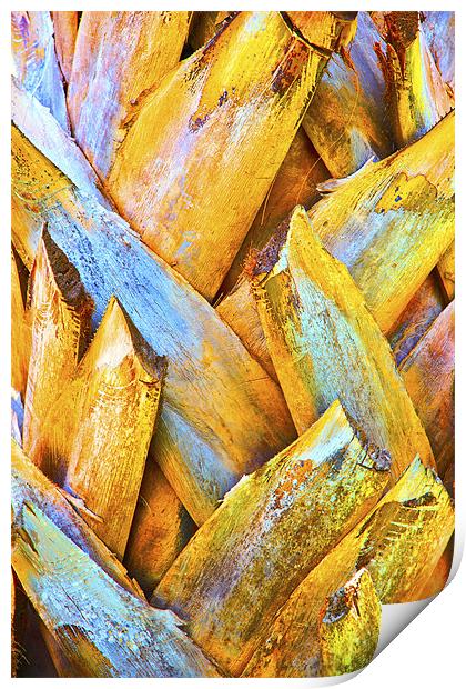 Coconut Royal Palm Bark Texture Print by Arfabita  