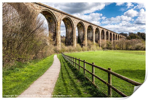 Newbridge Viaduct Print by Adrian Evans