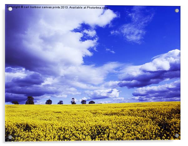 Coombe Abbey Rape Field Acrylic by carl barbour canvas