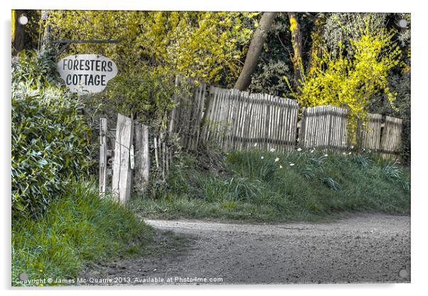 The foresters gate Acrylic by James Mc Quarrie