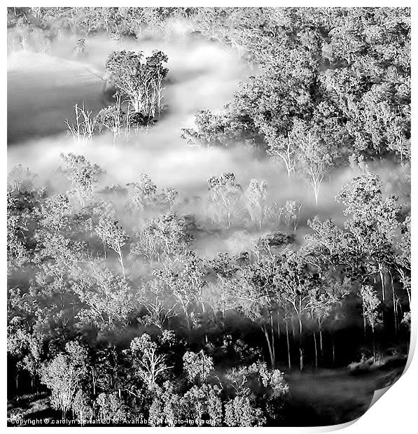 Woodland in the mist Print by carolyn stewart